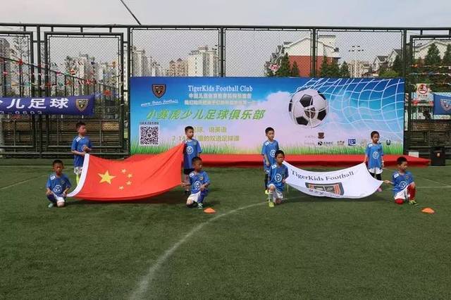 解析为什么 解析为什么