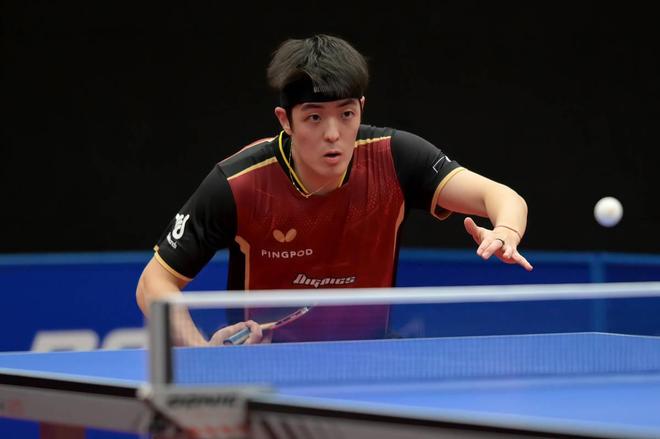 断仲裁年 断仲裁年